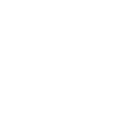 twitter icon