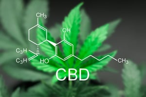 The Chemistry Behind Cannabis: Understanding THC, CBD, and Other Cannabinoids