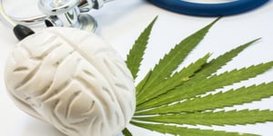 The Connection Between Cannabis and Mental Health: What the Research Says