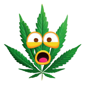 10 Shocking Facts About Cannabis You Won't Believe!