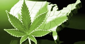 The State of Cannabis Legalization: A Guide to the Laws and Regulations