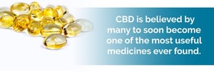 The Health Benefits of Cannabis: What the Research Tells Us