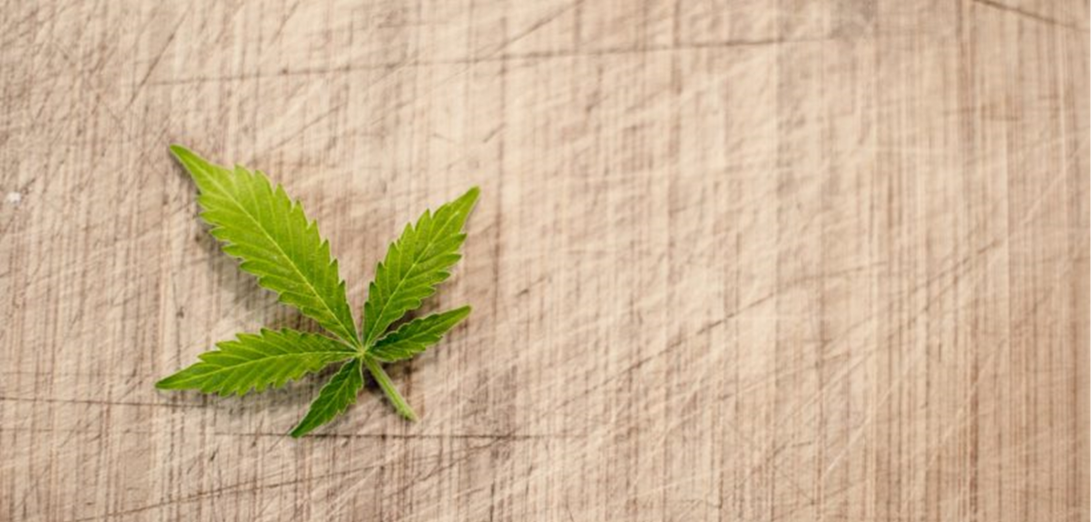 The Evolution of Cannabis: From Ancient Times to Modern Day
