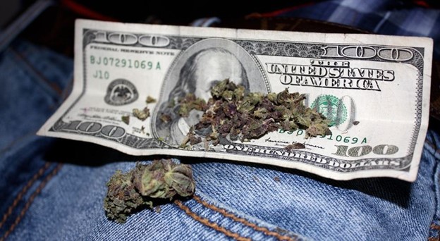 The Business of Cannabis: An Overview of the Industry's Economic Impact